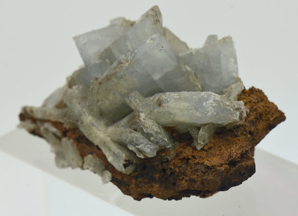 Barite Crystal Cluster on Matrix - Spain