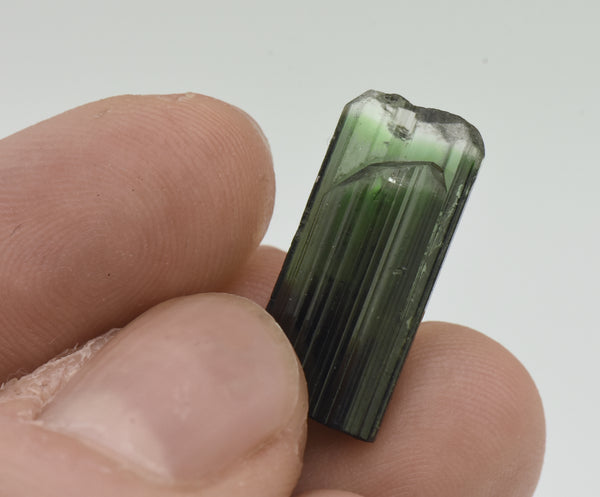 Stunning Color Zoned Flat Twin Tourmaline Crystal Specimen - Afghanistan