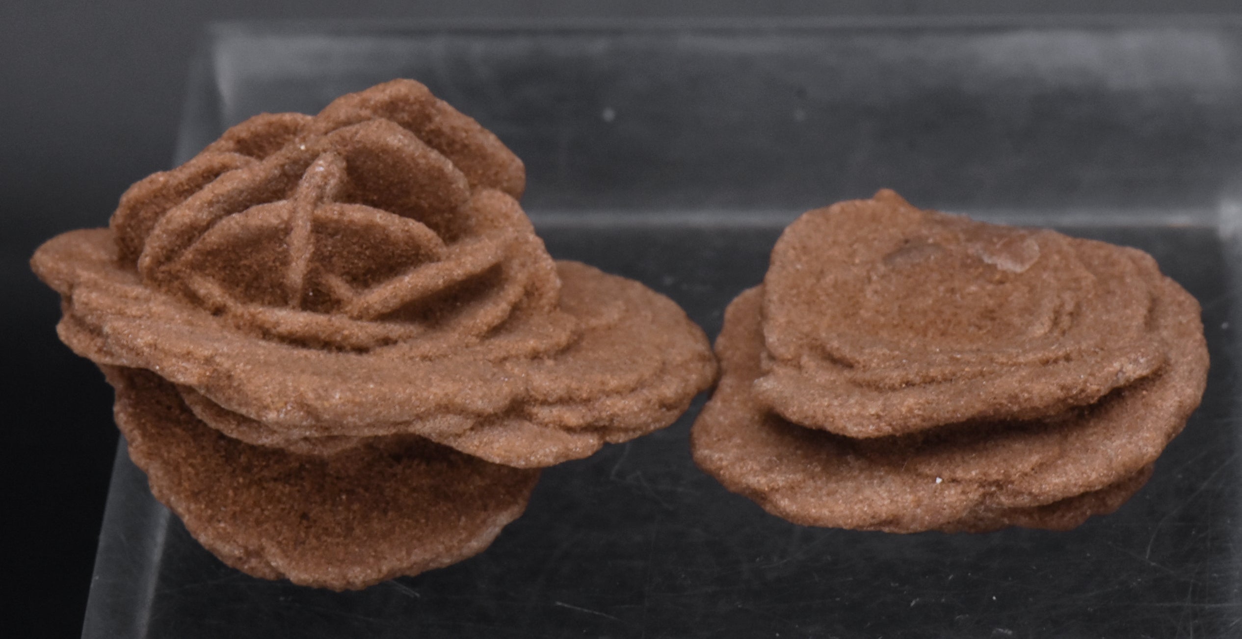 Barite Desert Rose Mineral Specimen - Oklahoma