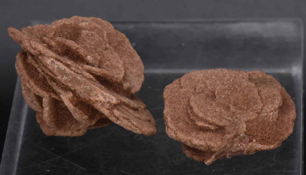 Barite Desert Rose Mineral Specimen - Oklahoma