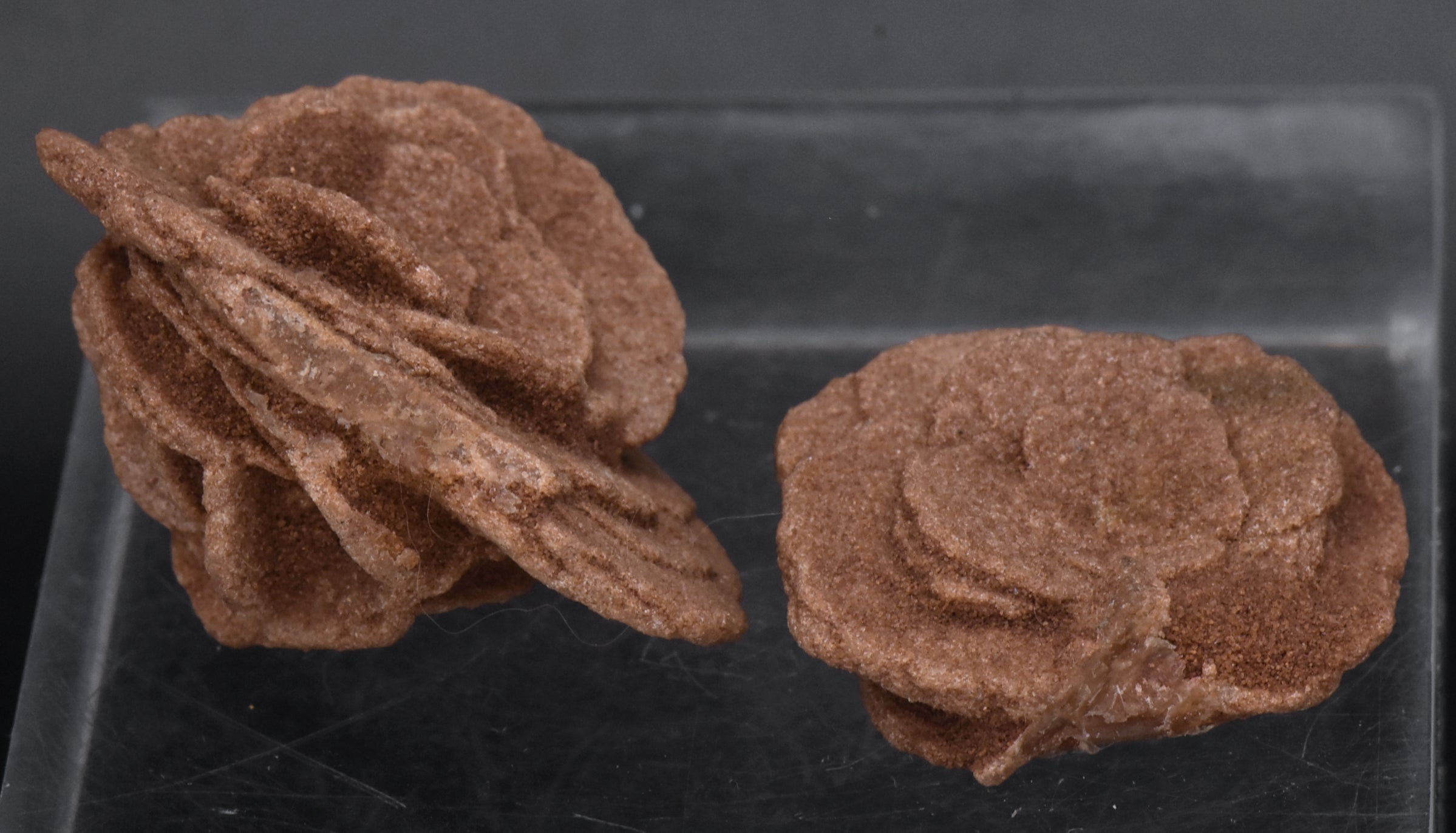 Barite Desert Rose Mineral Specimen - Oklahoma