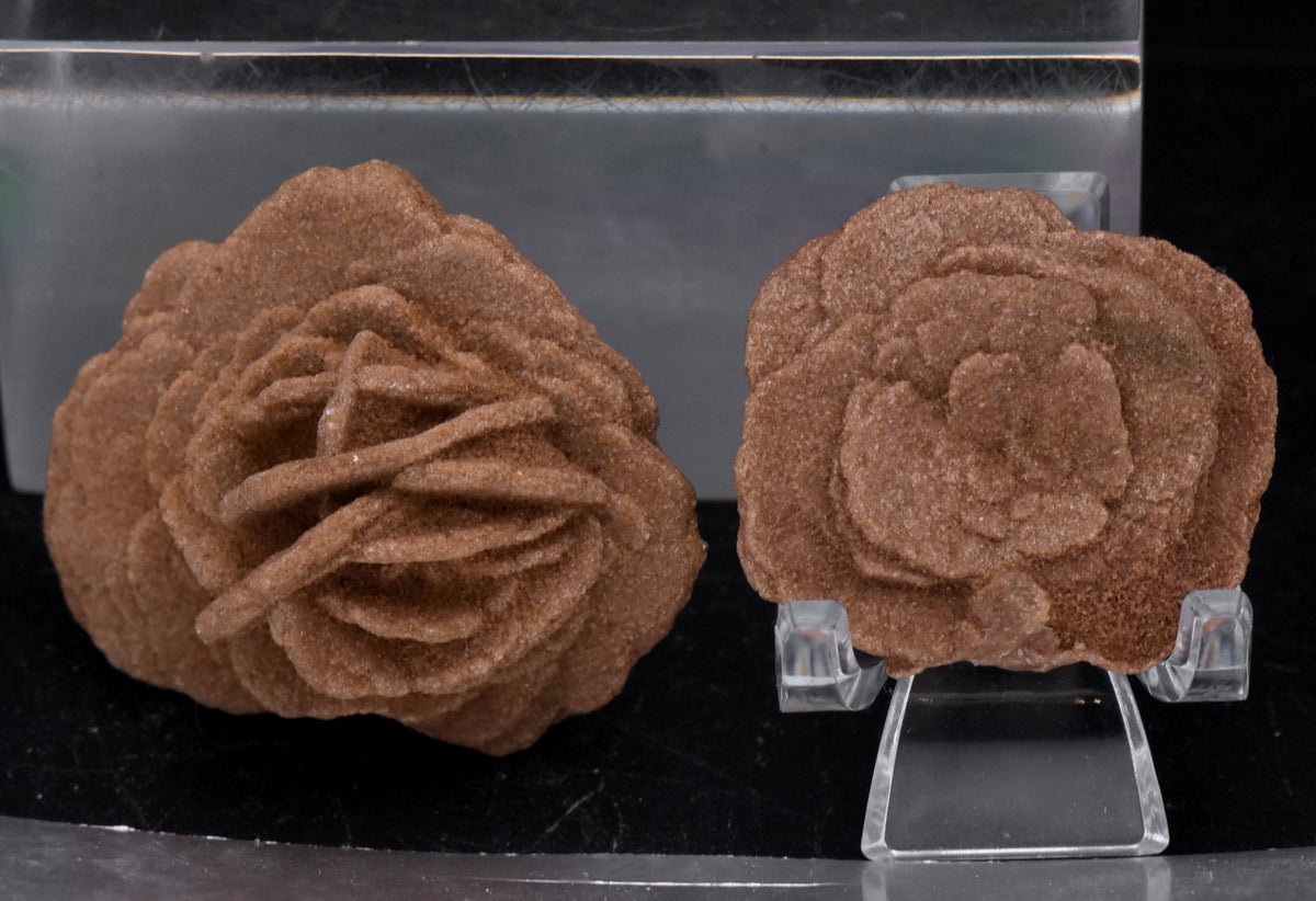 Barite Desert Rose Mineral Specimen - Oklahoma