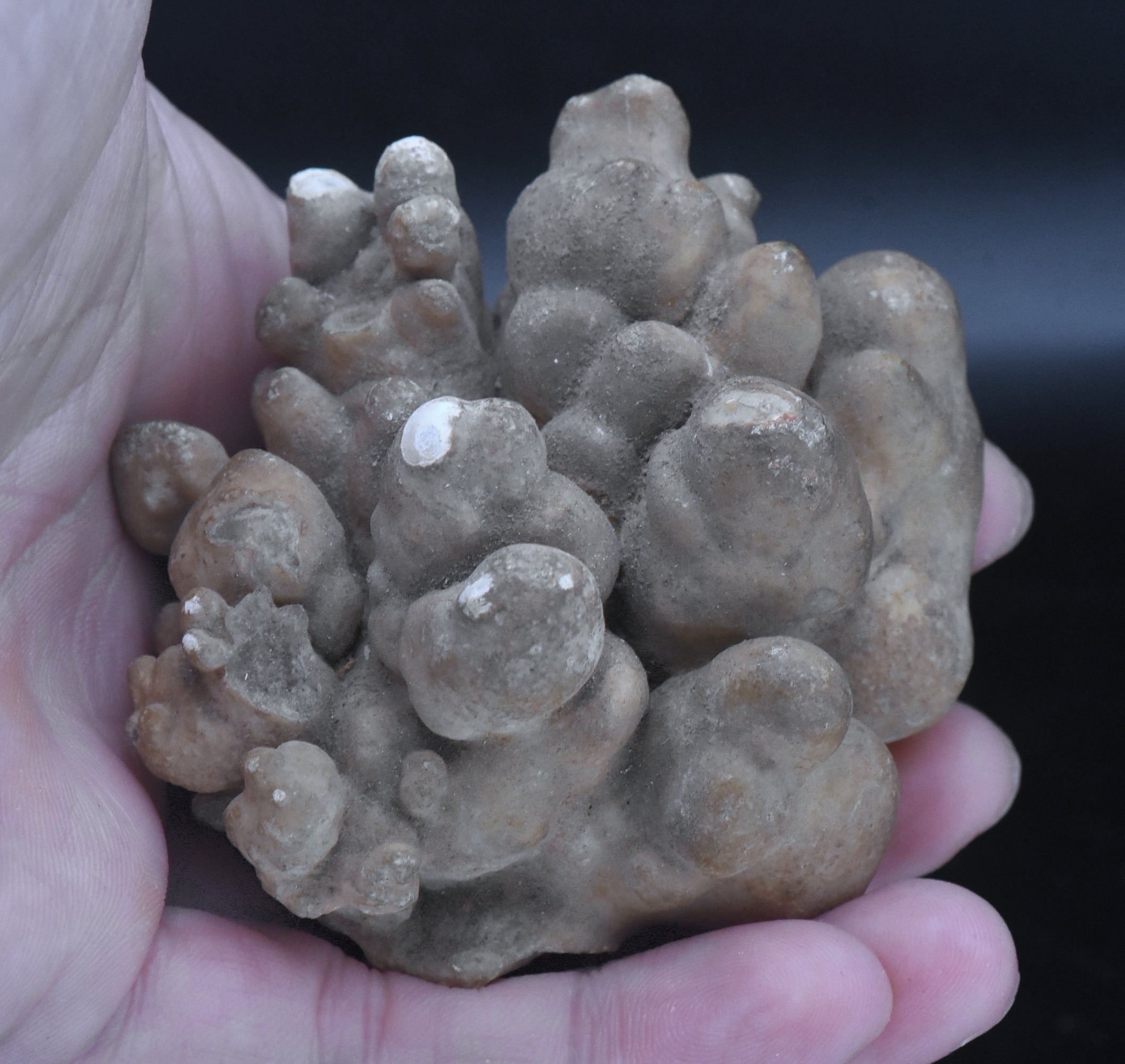 Cave Calcite Stalactite Cluster