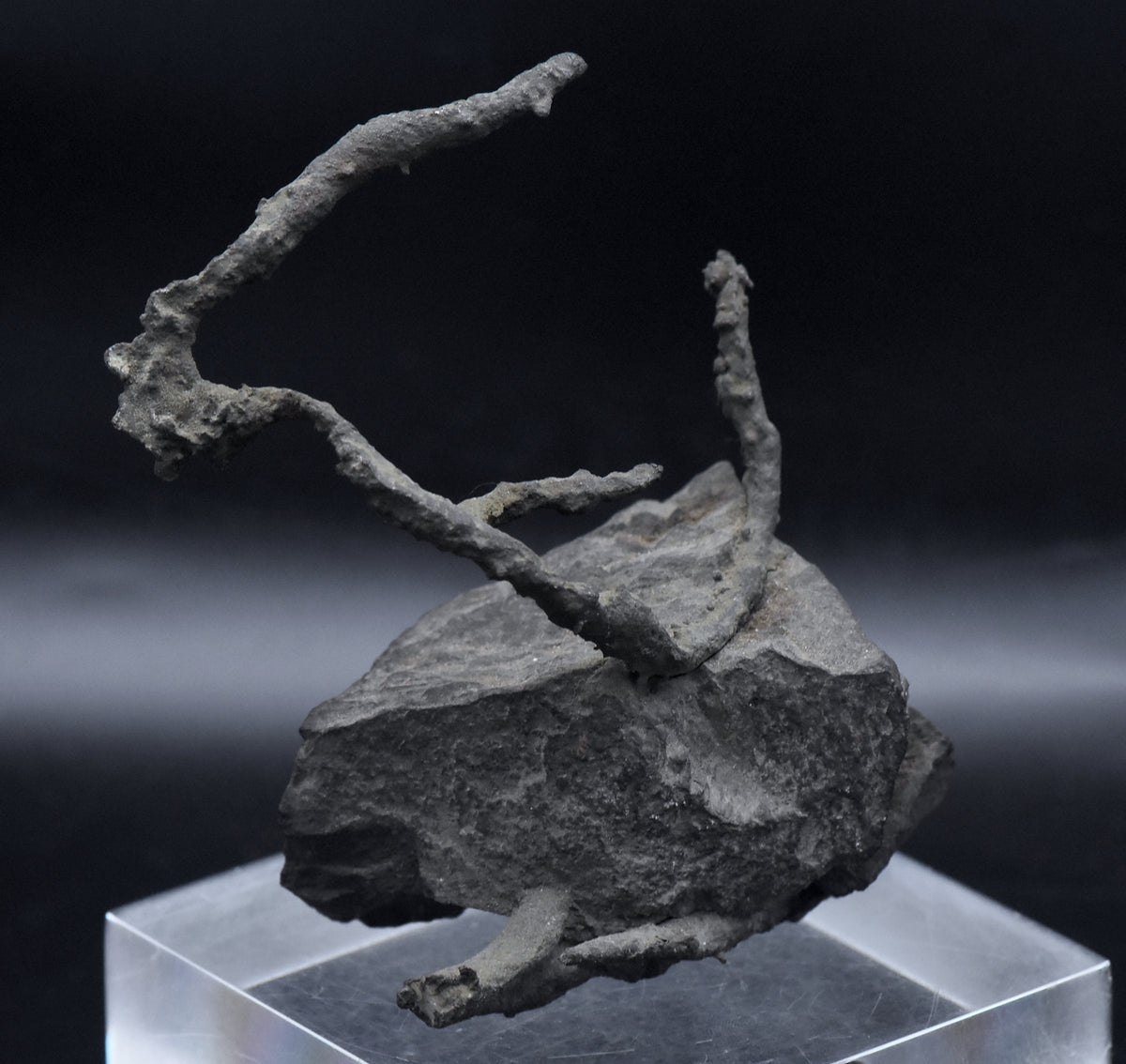 Native Copper Pipe Amygdule in Matrix Mineral Specimen
