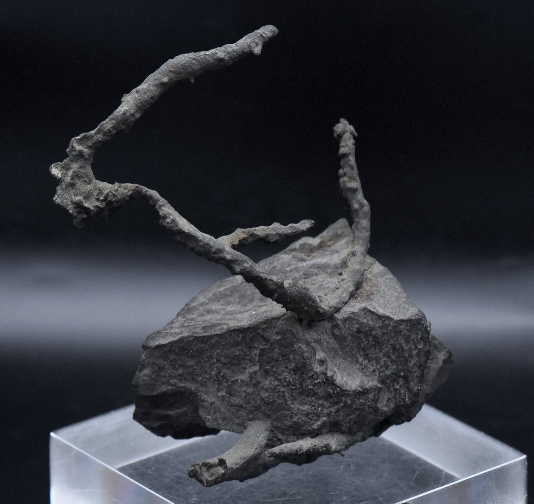 Native Copper Pipe Amygdule in Matrix Mineral Specimen