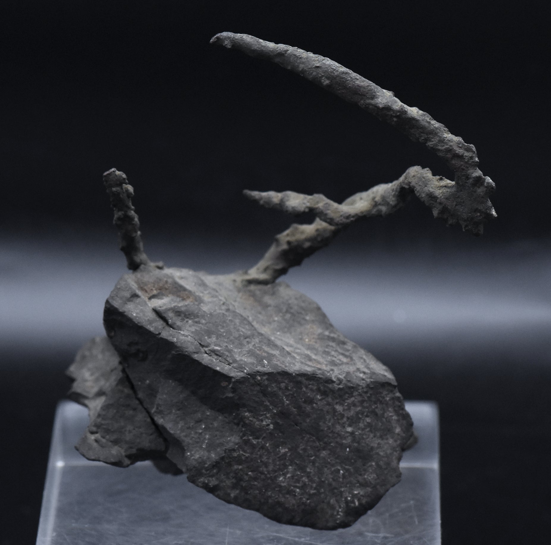 Native Copper Pipe Amygdule in Matrix Mineral Specimen