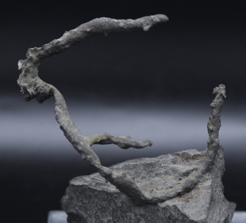 Native Copper Pipe Amygdule in Matrix Mineral Specimen