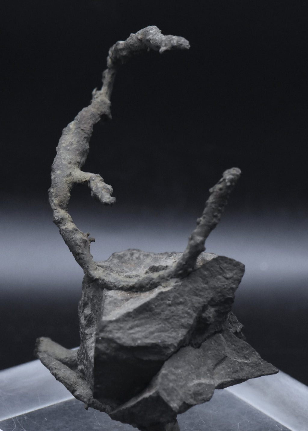 Native Copper Pipe Amygdule in Matrix Mineral Specimen