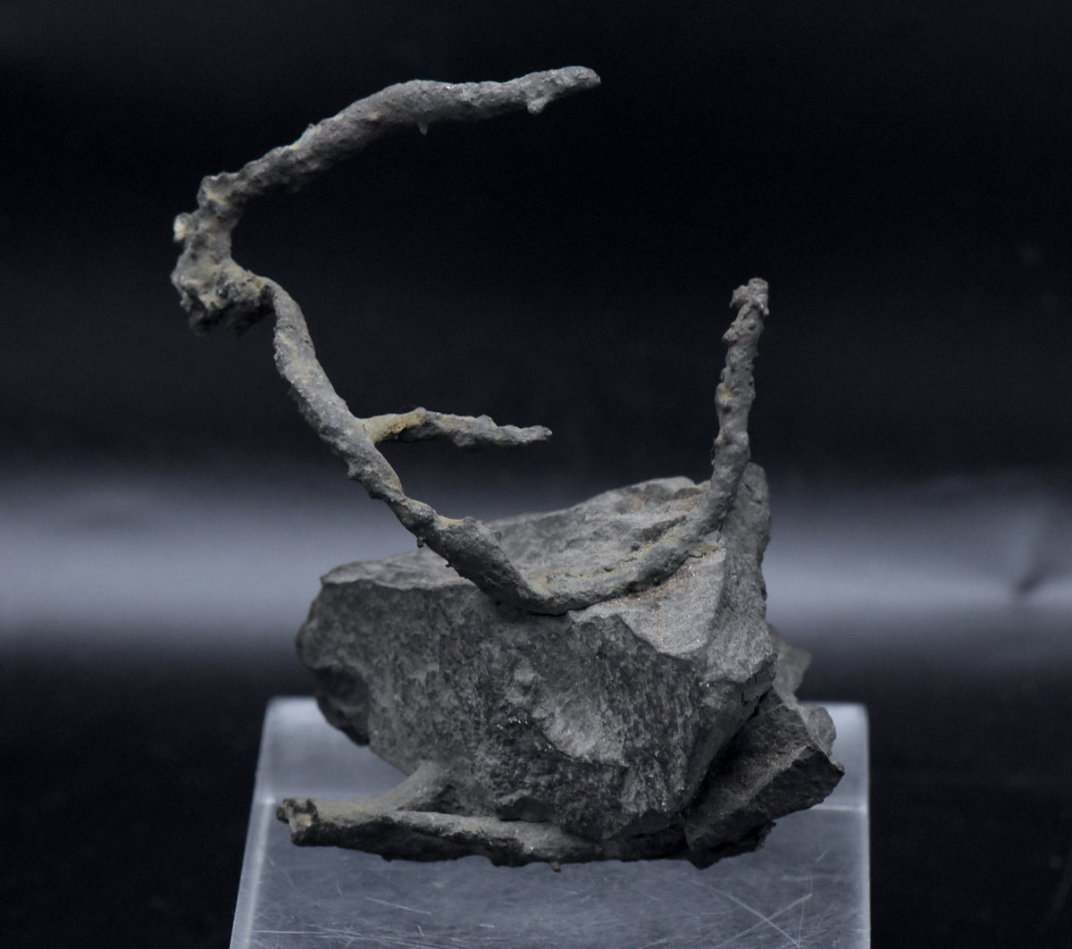 Native Copper Pipe Amygdule in Matrix Mineral Specimen