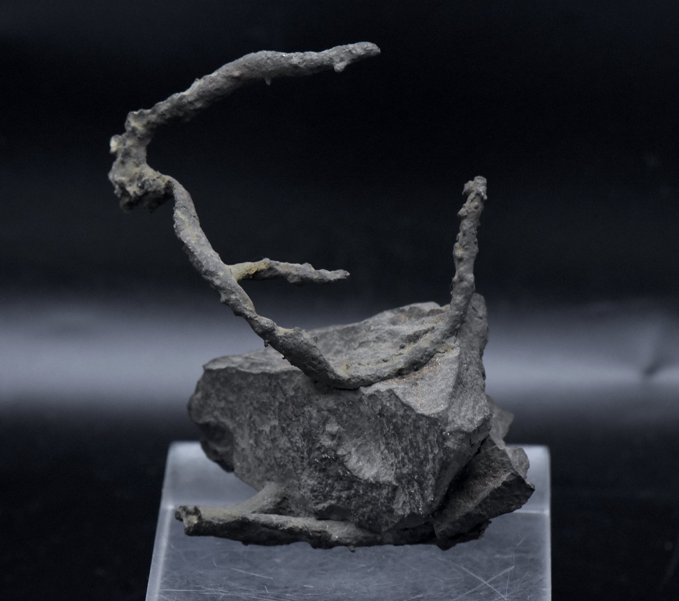Native Copper Pipe Amygdule in Matrix Mineral Specimen