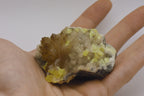 Celestine Crystal Cluster with Sulfur Mineral Specimen - Poland