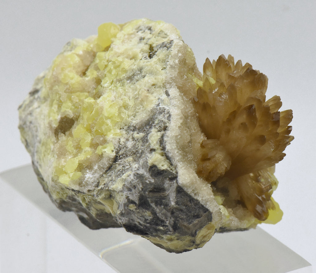 Celestine Crystal Cluster with Sulfur Mineral Specimen - Poland