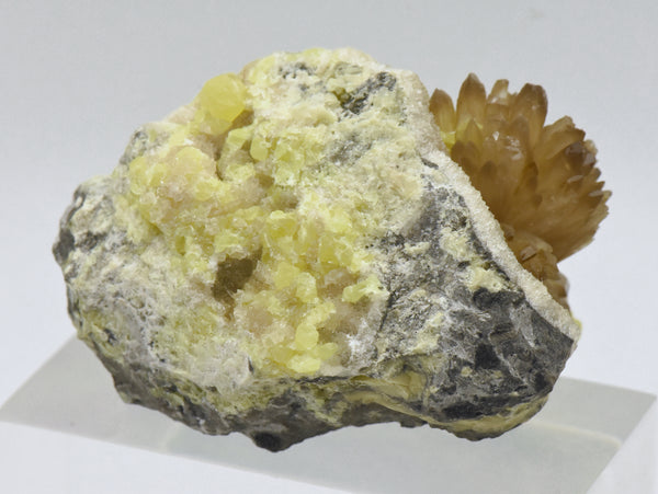 Celestine Crystal Cluster with Sulfur Mineral Specimen - Poland