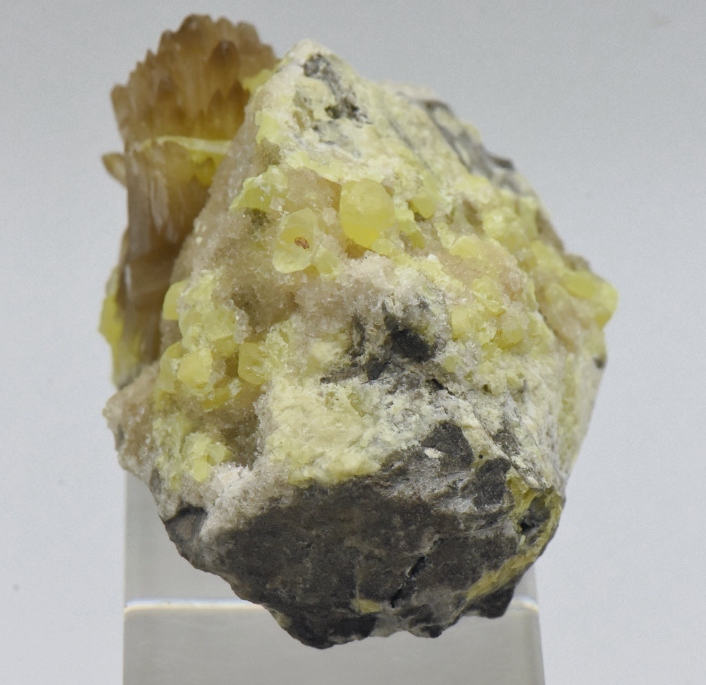 Celestine Crystal Cluster with Sulfur Mineral Specimen - Poland