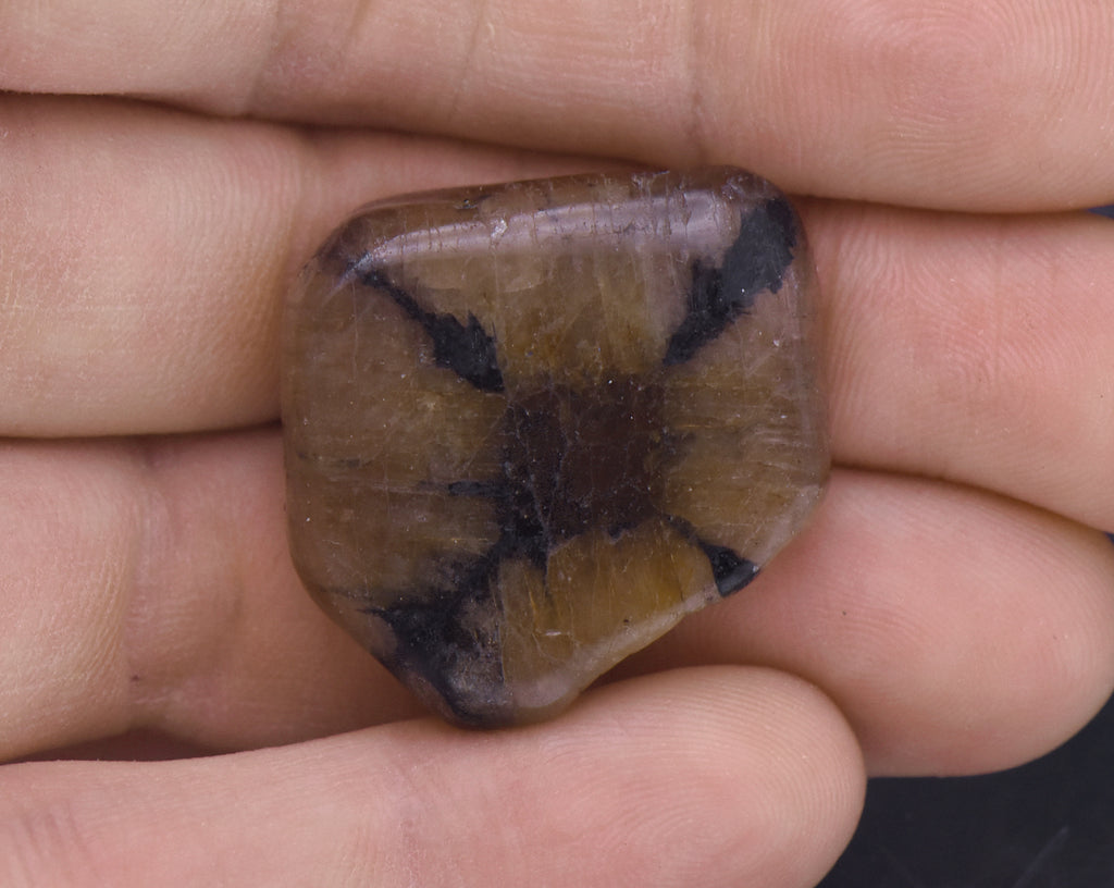 Chiastolite Mineral Specimen