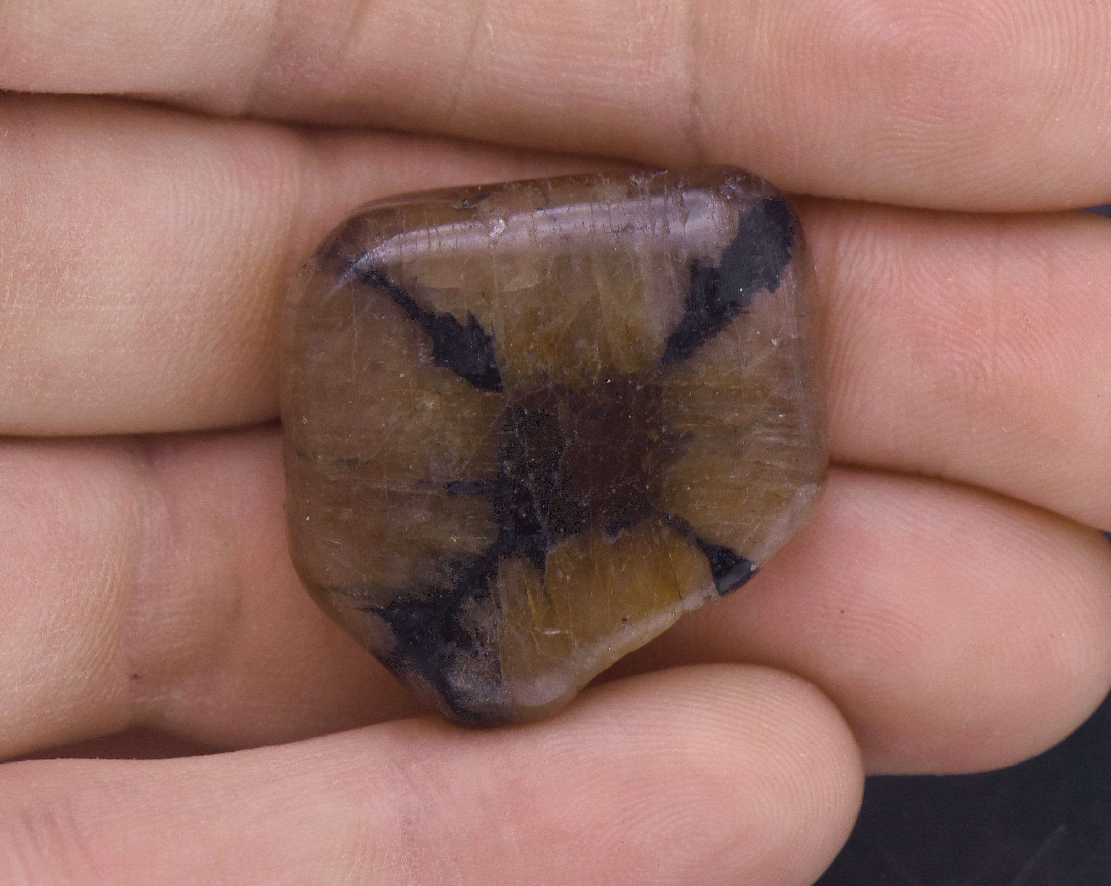 Chiastolite Mineral Specimen
