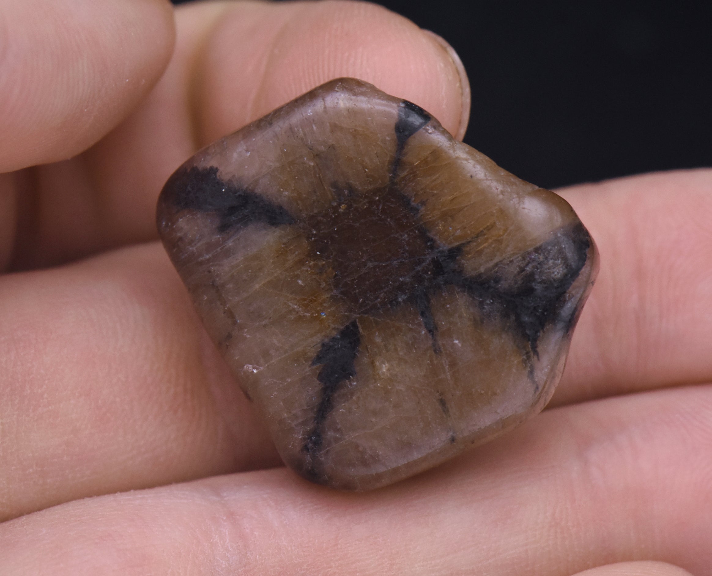Chiastolite Mineral Specimen