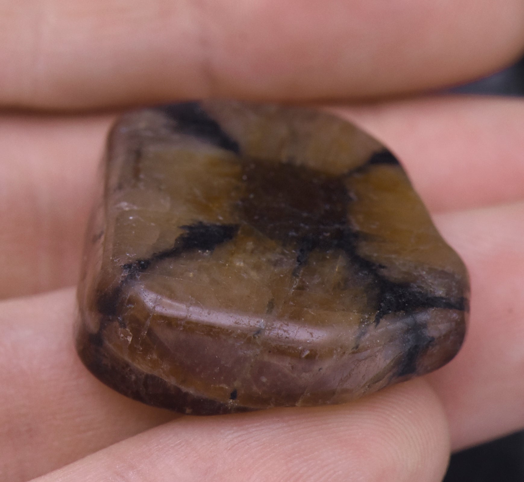Chiastolite Mineral Specimen