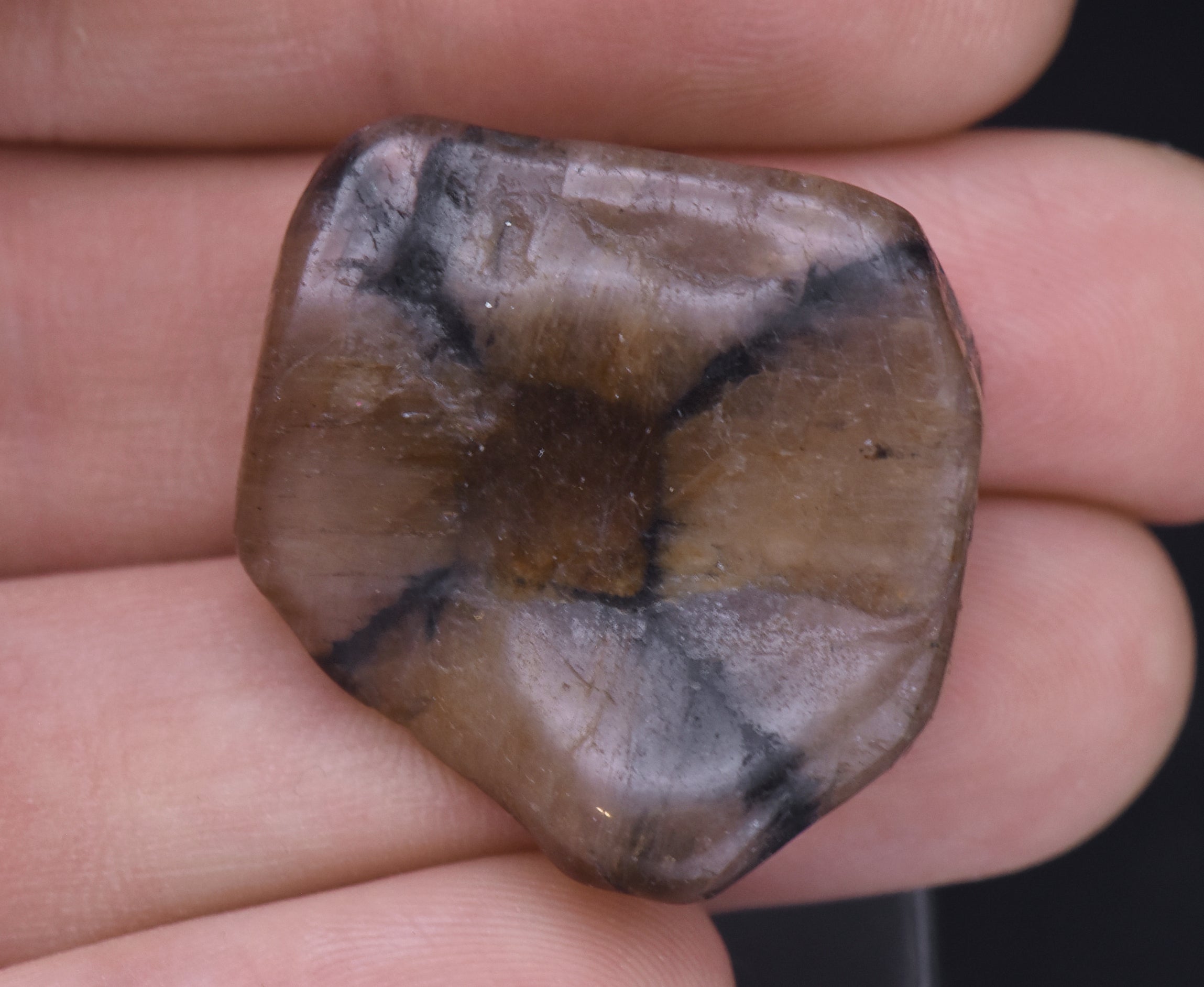 Chiastolite Mineral Specimen
