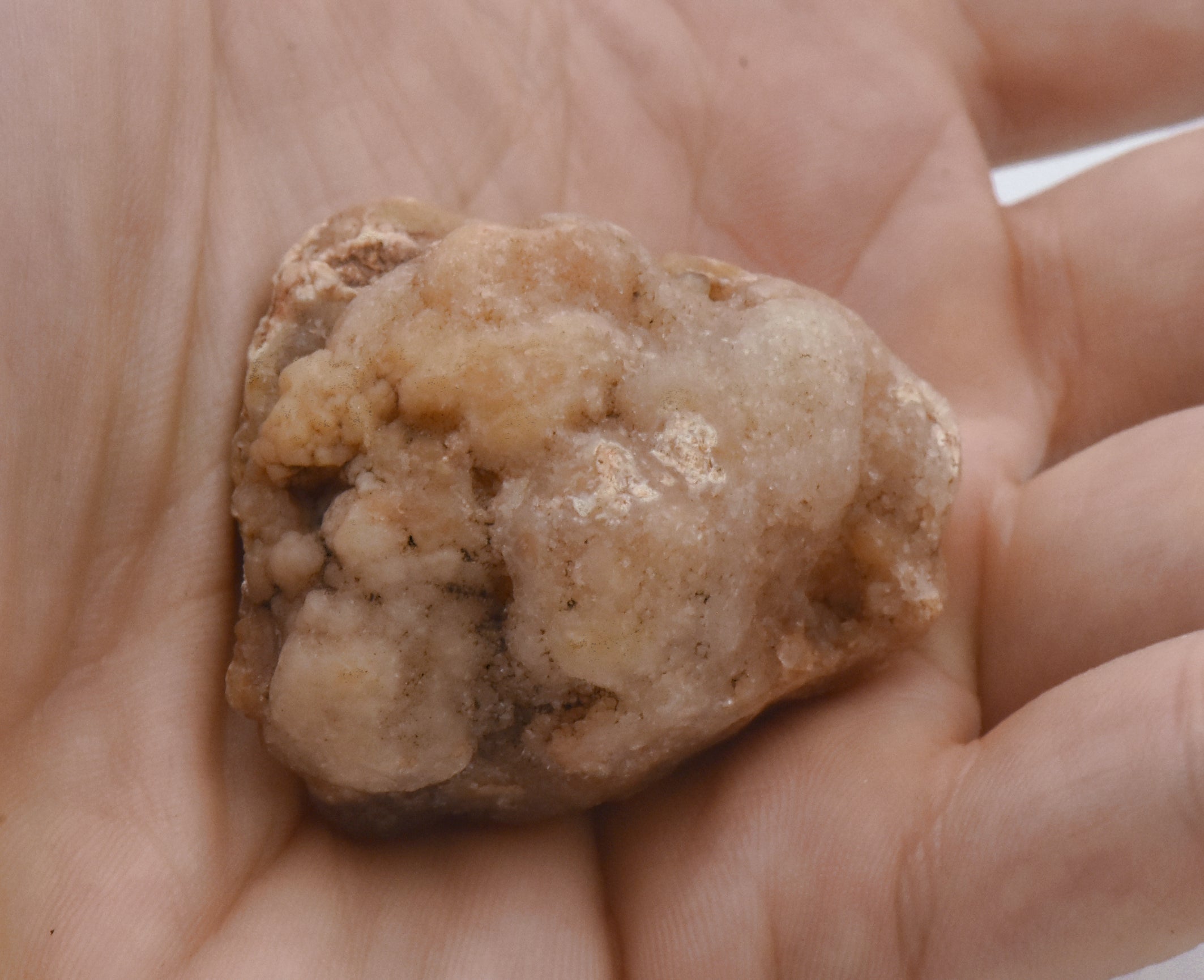 Raw Chalcedony with Druze Mineral Specimen