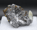 Calcite and Chalcopyrite Mineral Specimen - Missouri, USA