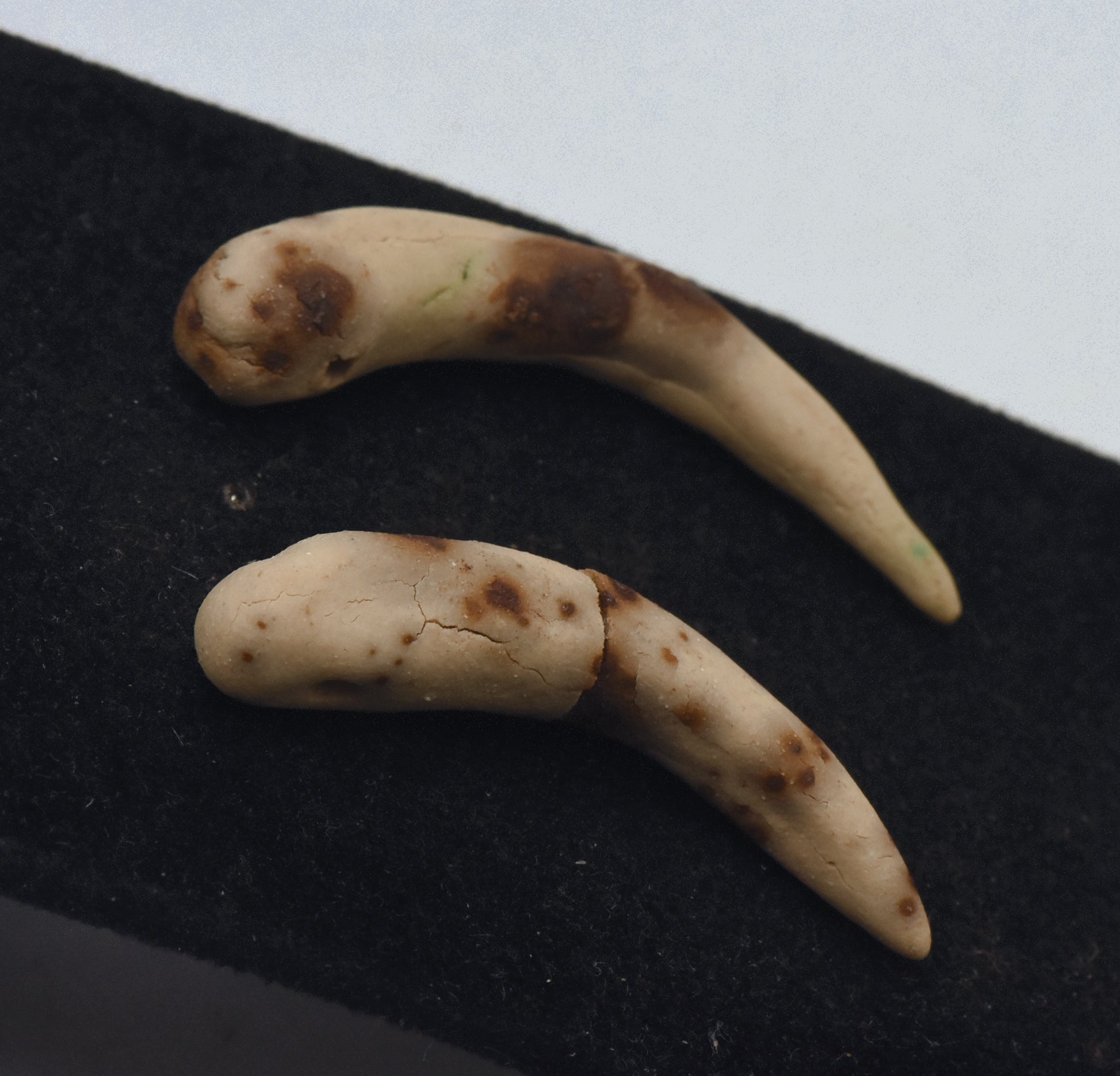 Pair of Handmade Clay Fang Beads