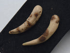 Pair of Handmade Clay Fang Beads