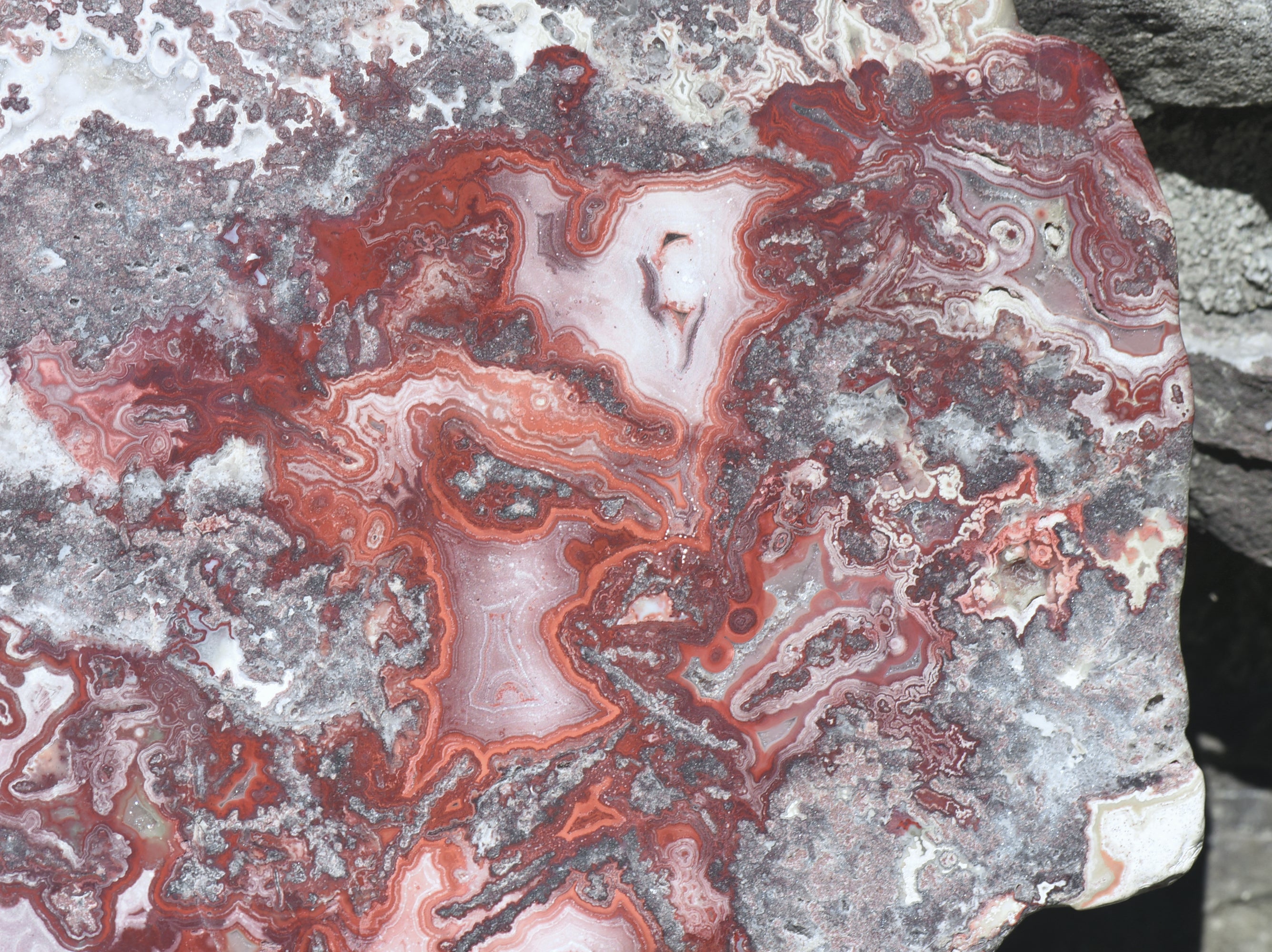 Crazy Lace Agate Large Polished Slab - 749g