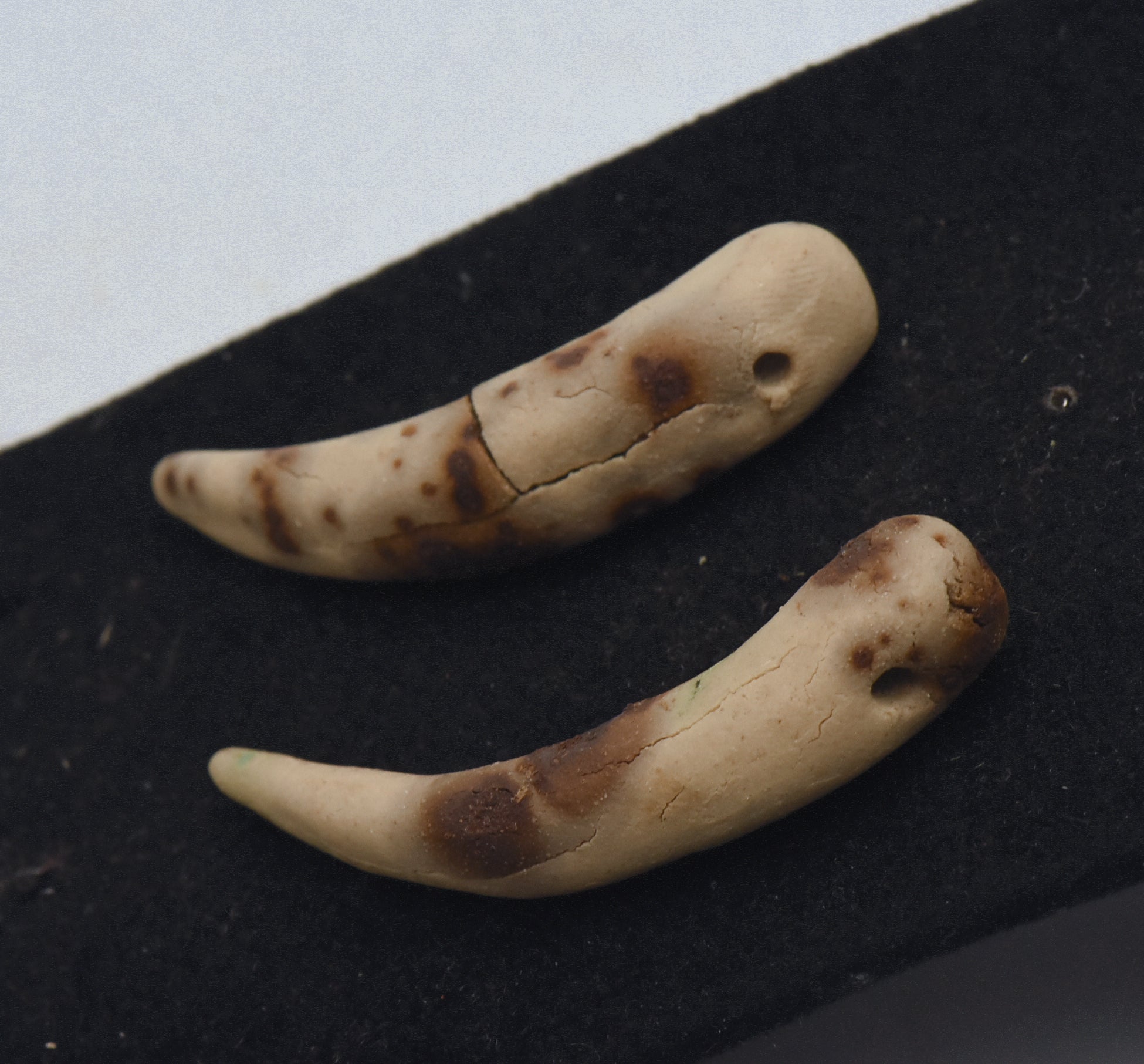 Pair of Handmade Clay Fang Beads