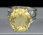 Vintage Citrine Sterling Silver Organic Claws Ring - Size 7.25
