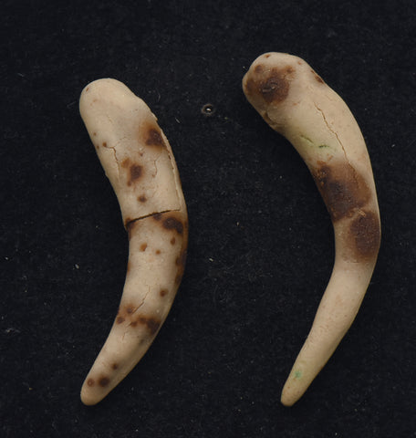 Pair of Handmade Clay Fang Beads