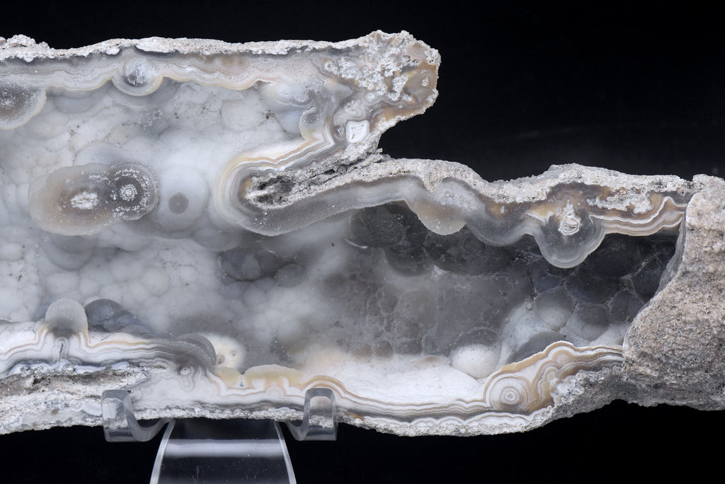 Agatized Coral Fossil Geode Specimen
