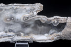 Agatized Coral Fossil Geode Specimen