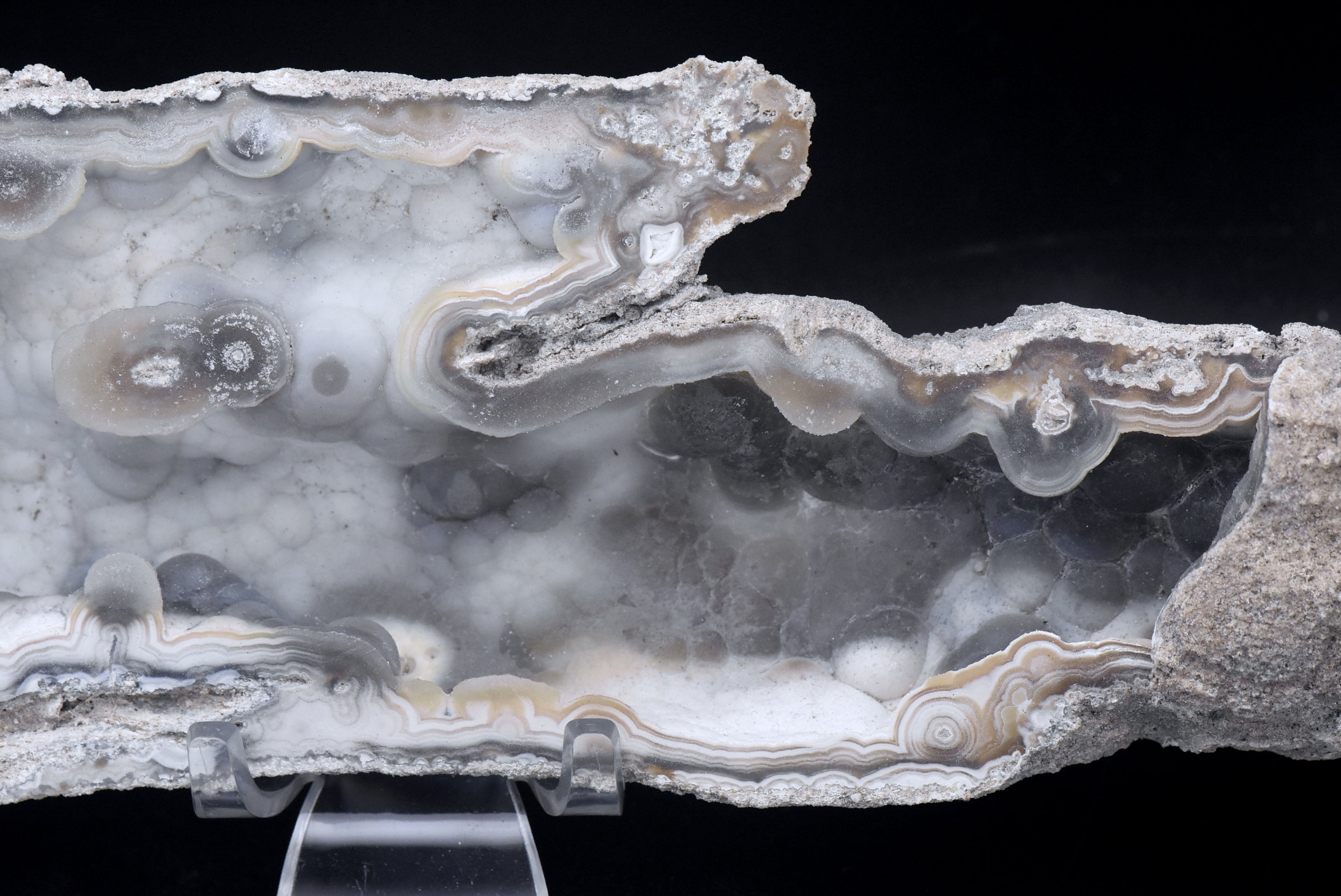 Agatized Coral Fossil Geode Specimen