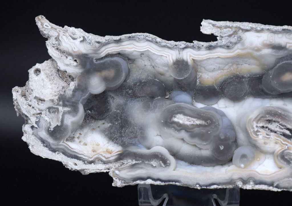 Agatized Coral Fossil Geode Specimen