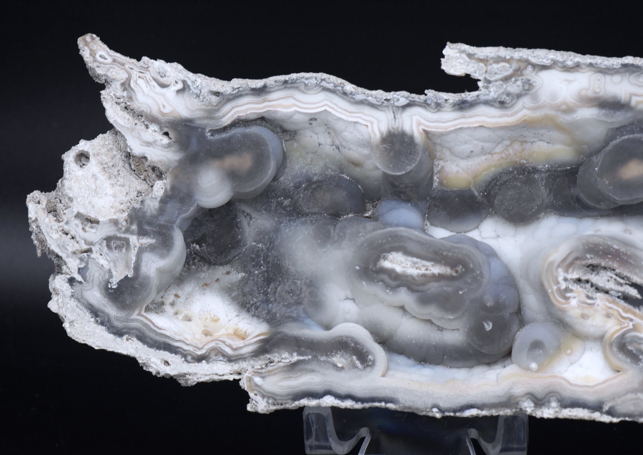 Agatized Coral Fossil Geode Specimen