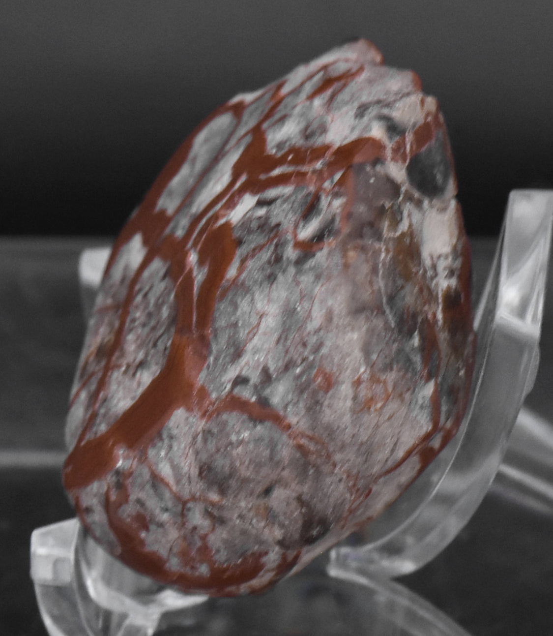 Polished Dinosaur Coprolite - 28g