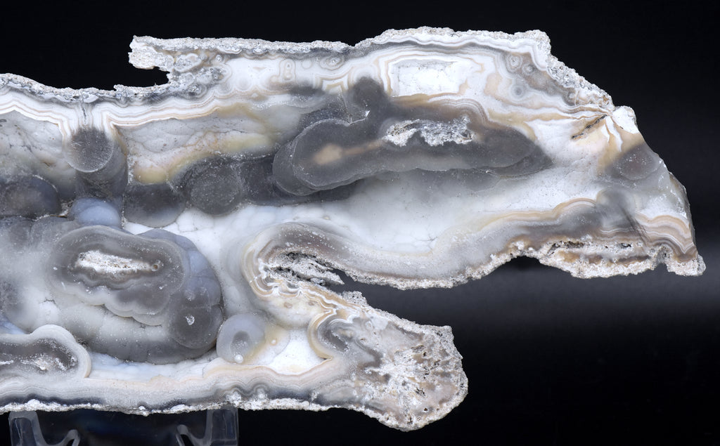 Agatized Coral Fossil Geode Specimen