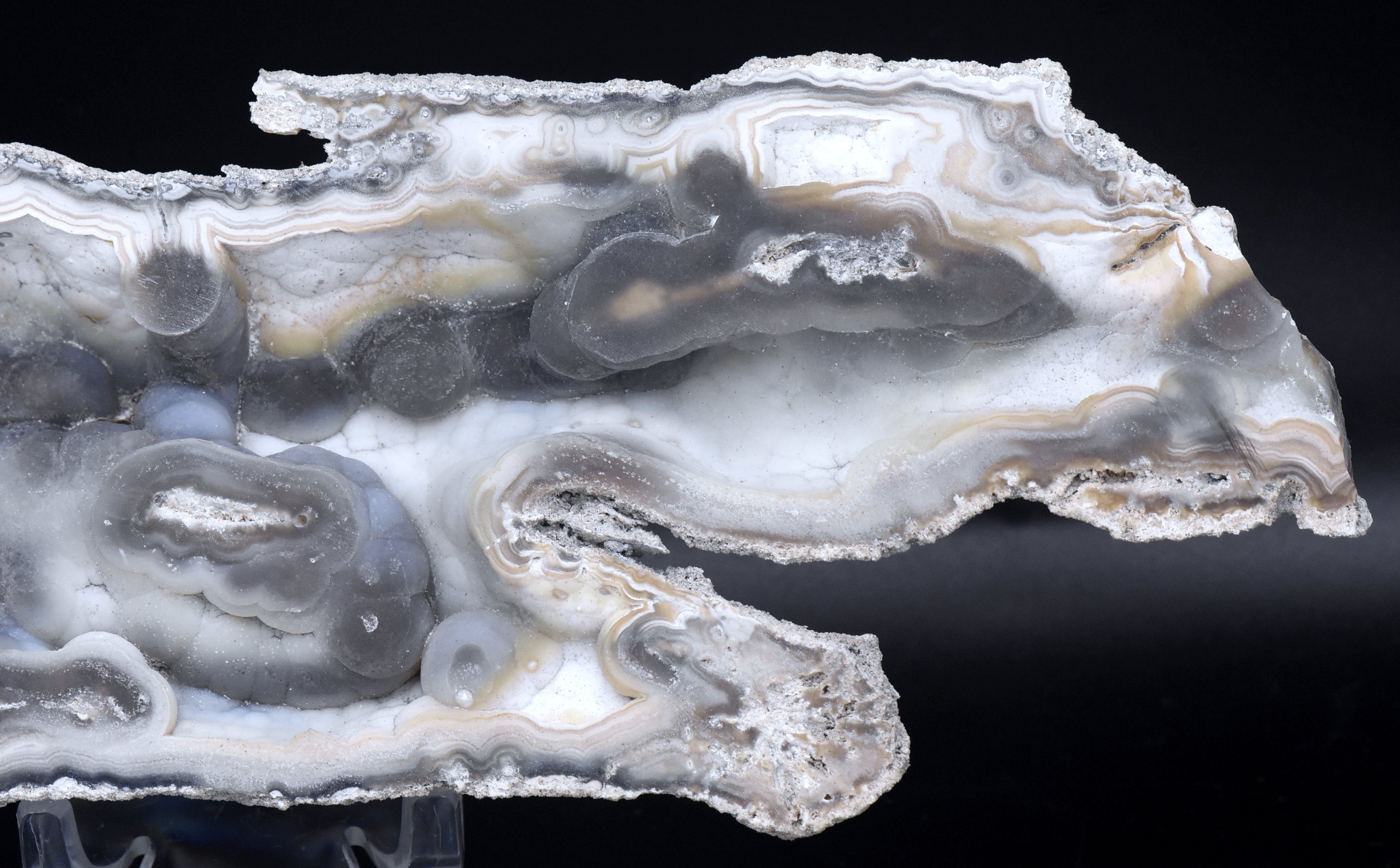 Agatized Coral Fossil Geode Specimen