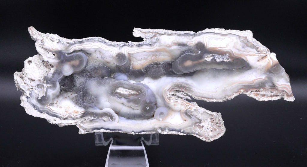 Agatized Coral Fossil Geode Specimen