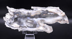 Agatized Coral Fossil Geode Specimen