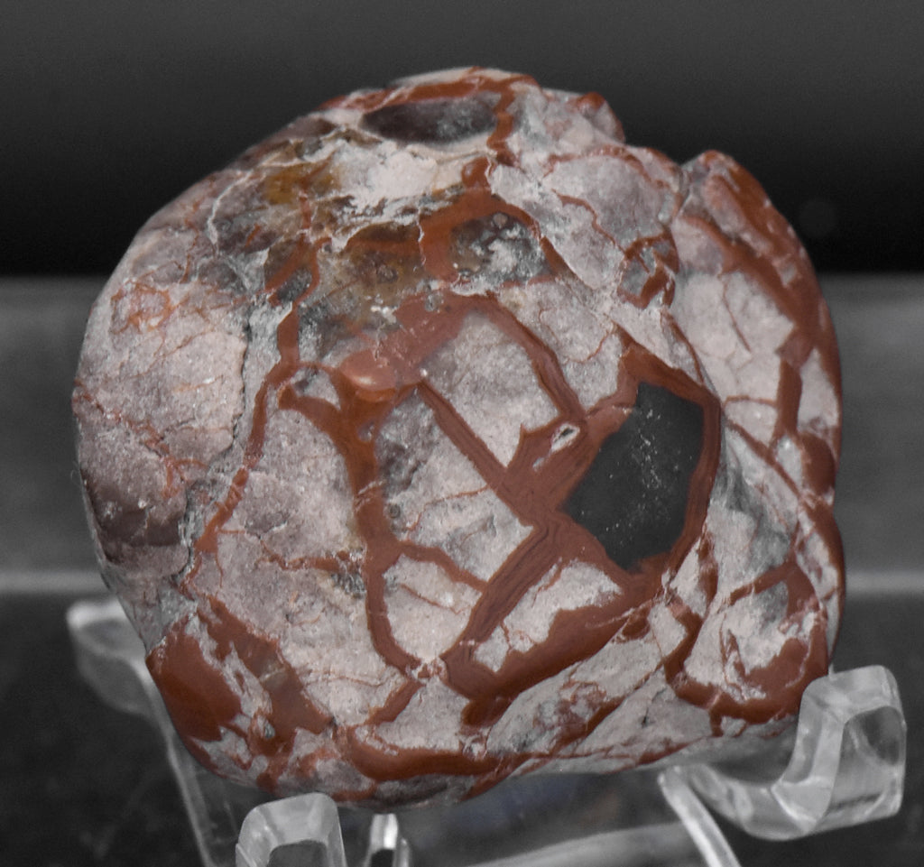 Polished Dinosaur Coprolite - 28g