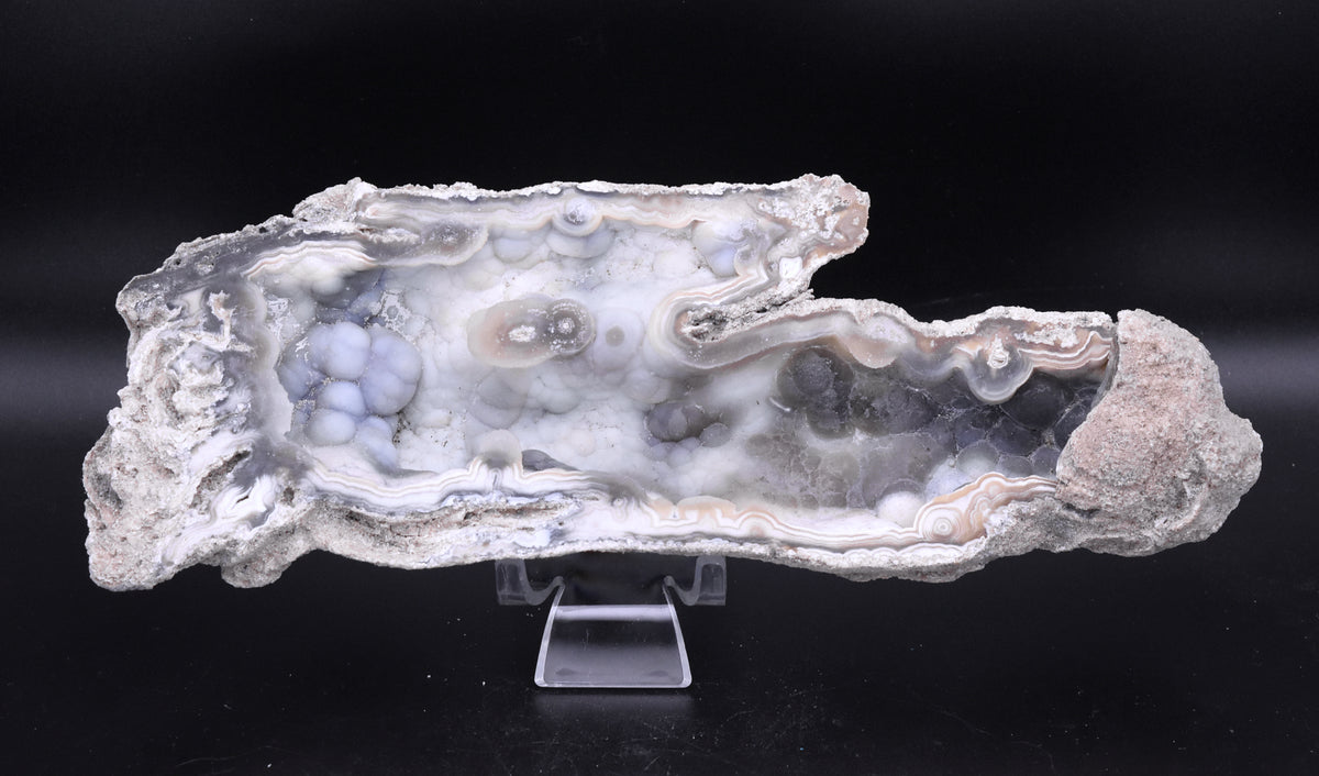 Agatized Coral Fossil Geode Specimen