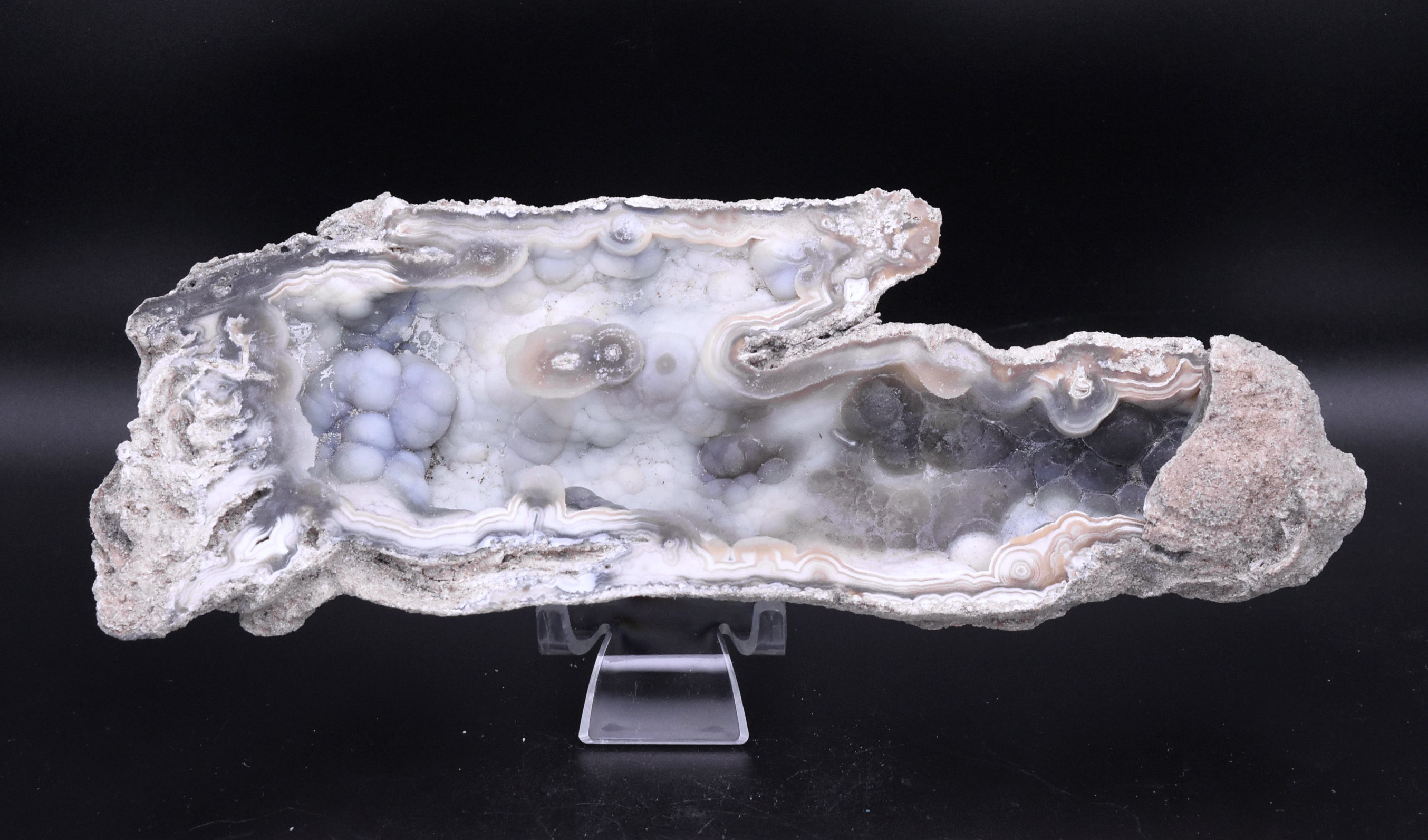Agatized Coral Fossil Geode Specimen