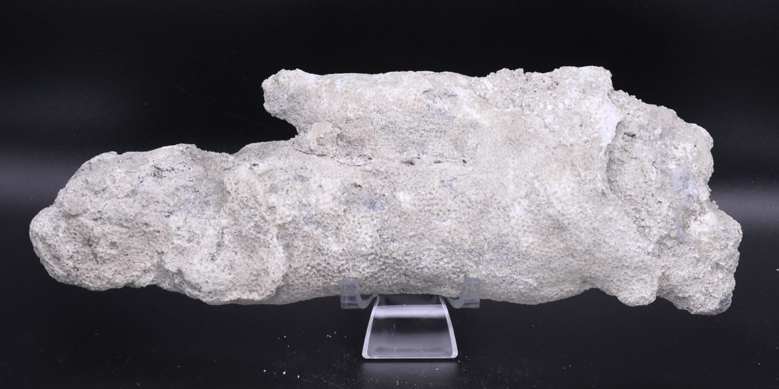 Agatized Coral Fossil Geode Specimen