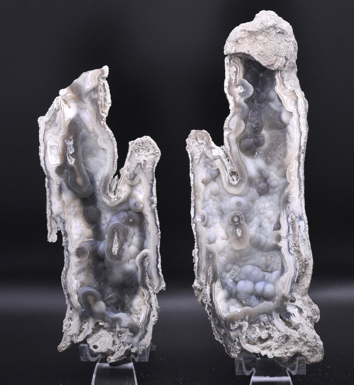Agatized Coral Fossil Geode Specimen
