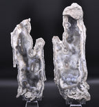 Agatized Coral Fossil Geode Specimen