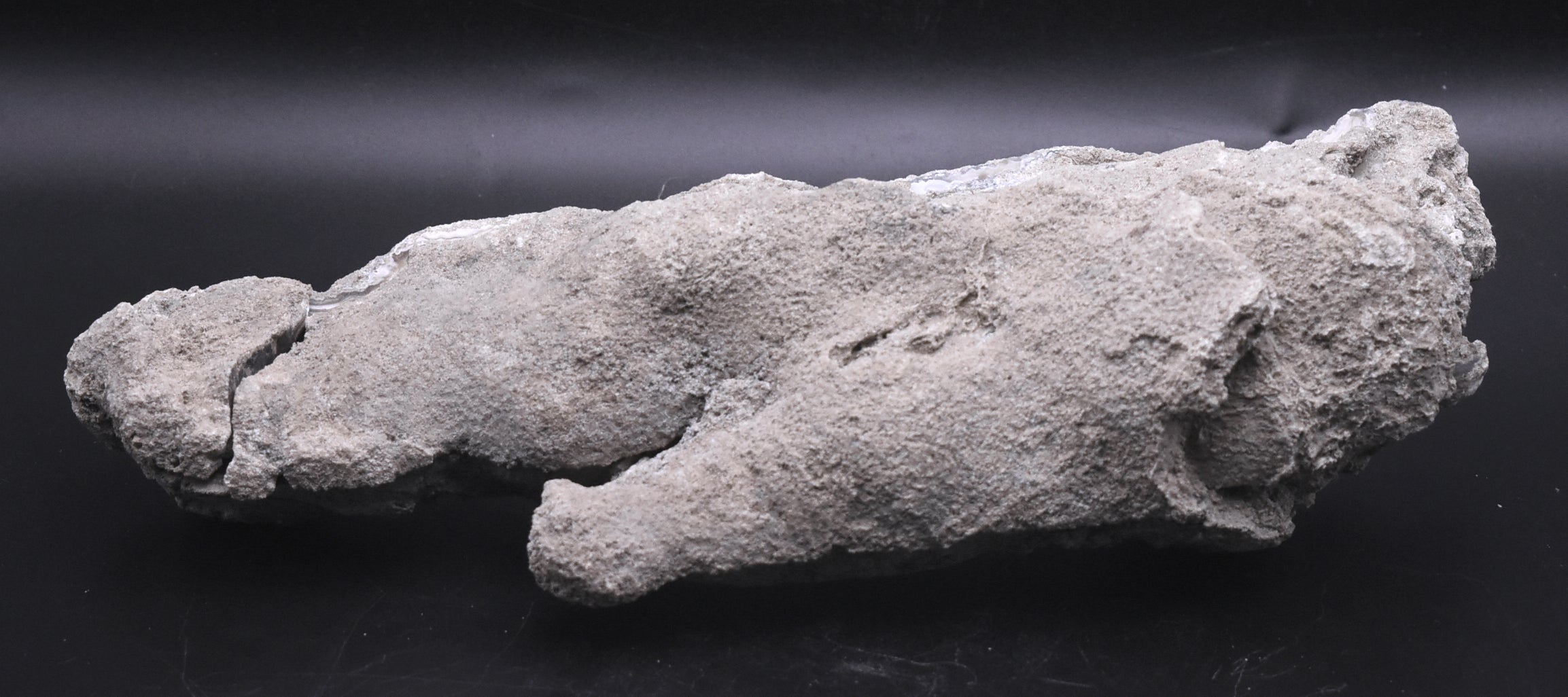 Agatized Coral Fossil Geode Specimen