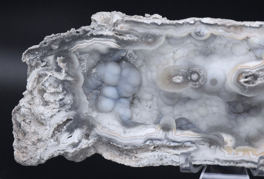 Agatized Coral Fossil Geode Specimen