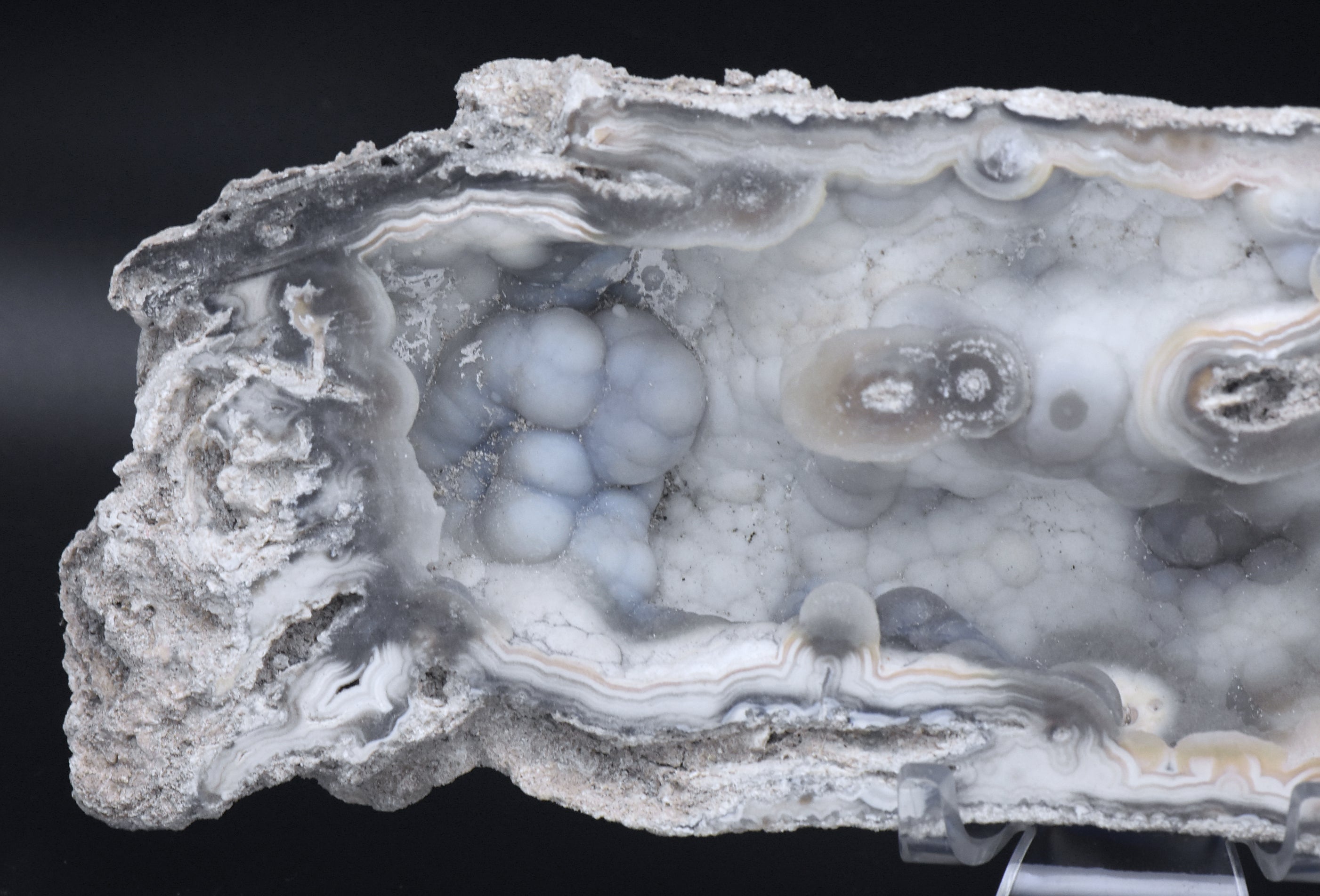 Agatized Coral Fossil Geode Specimen
